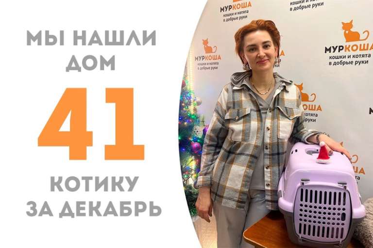 Новогоднее исполнение мечты Санжела!