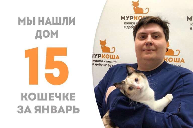 Сефаду становится домашней любимицей накануне старого нового года!
