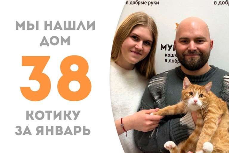 Чуть больше трех месяцев понадобилось Серафимушке, чтобы стать домашним!