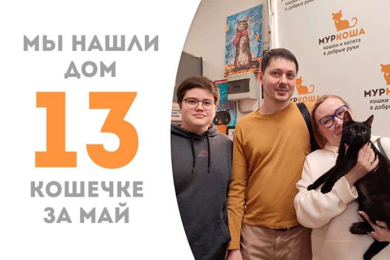 Проводили Серенейд в домашнюю жизнь!