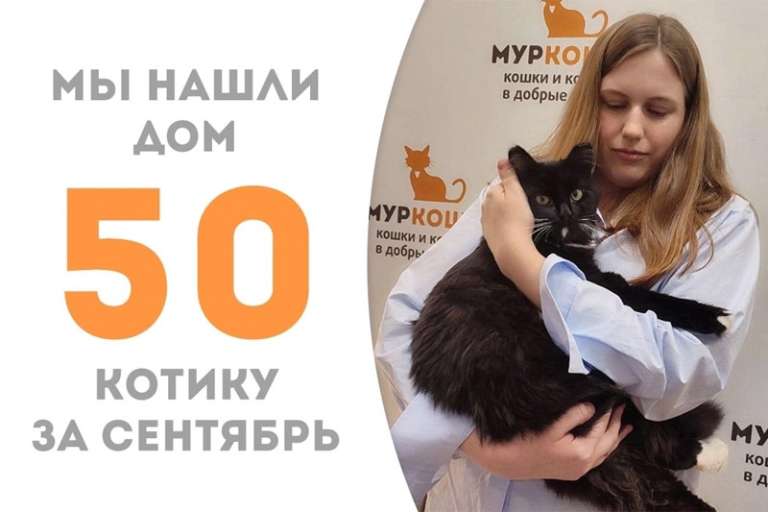 Шамус уехал в свой новый дом!