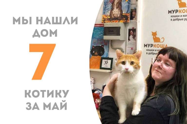 Солнечный Шимон встретил своего человека!