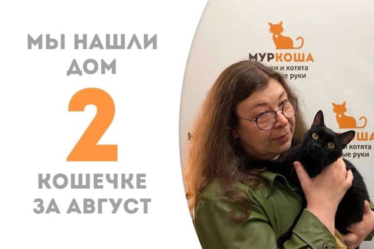 Шинди становится счастливицей!