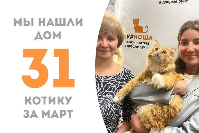 Яркому Шиповнику понадобилось всего пару месяцев, чтобы уехать в дружную семью к Келси!