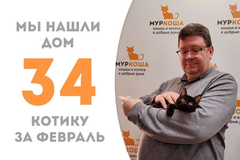 Меньше месяца понадобилось Шкиперу, чтобы найти своего хозяина!