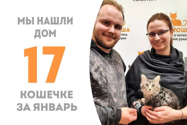 Шпаклёвка, пробыв в приюте два с половиной месяца, становится домашней!