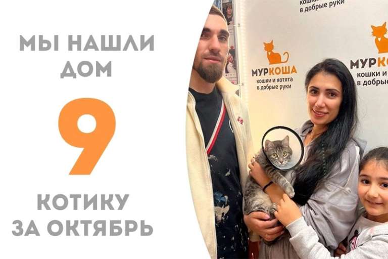 Сидней встретил свою семью!