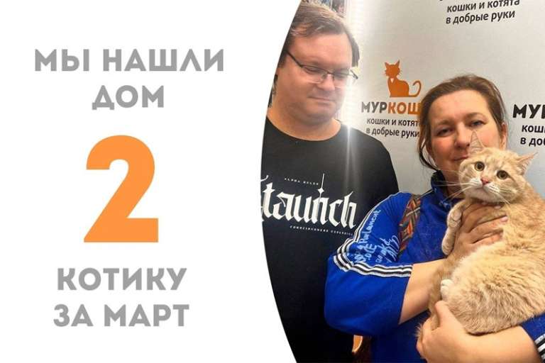 Сиропчик растопил сердца своих людей и отправляется домой!