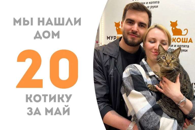 Полосатик Слэш становится счастливчиком!