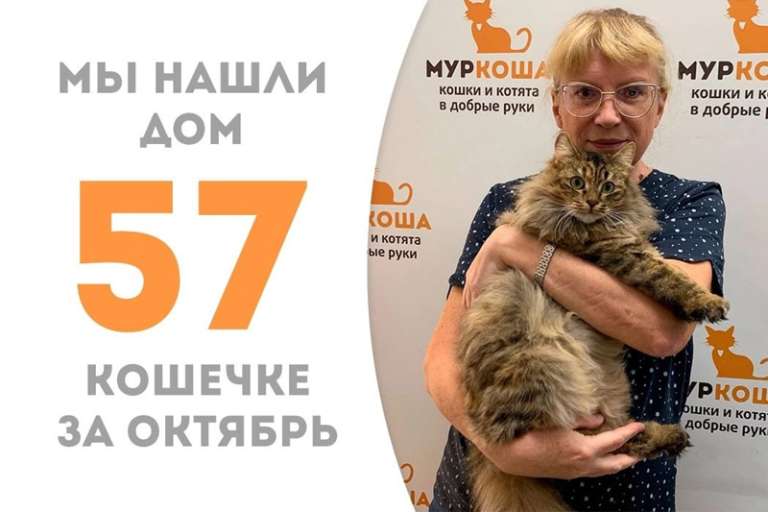 Соланж становится домашней!