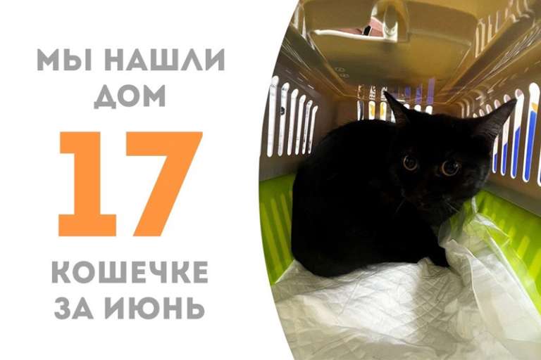 Сомбра становится счастливицей!