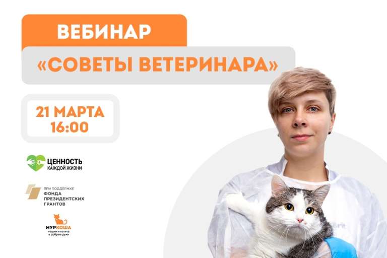 Вебинар "Советы ветеринара"