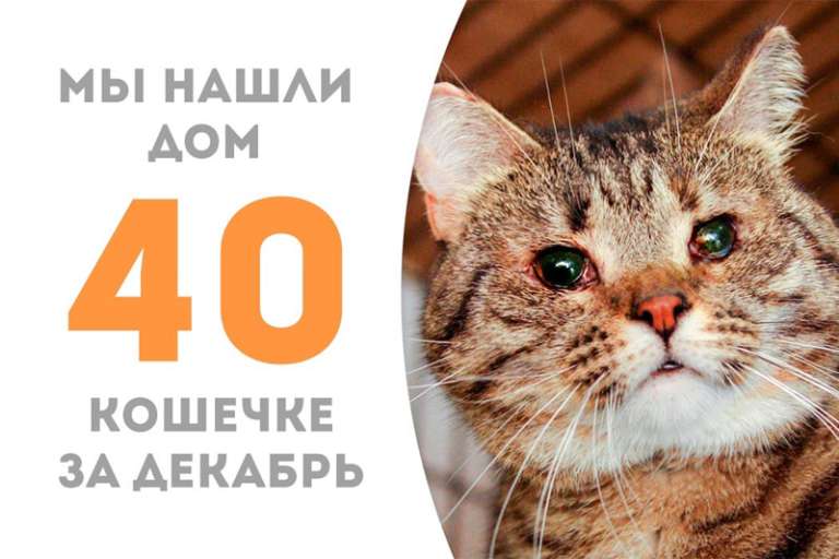 Невероятная радость нежнюльки Стеффи — она теперь домашняя!