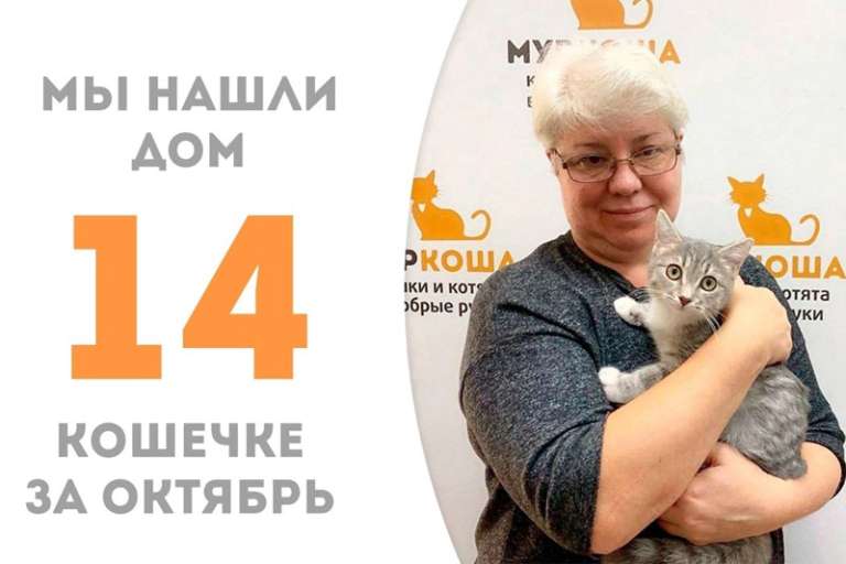 Прошло всего лишь три недели, а за милой Сьюзи приехала хозяйка!