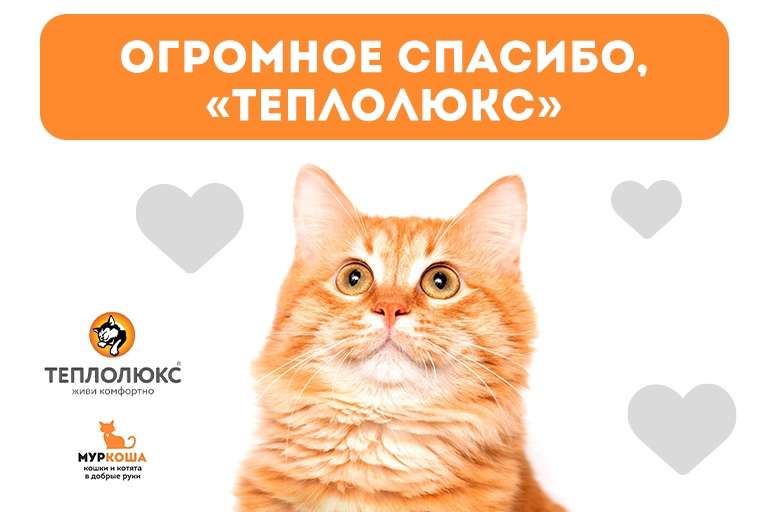 Спасибо компании "Теплолюкс" за помощь и поддержку