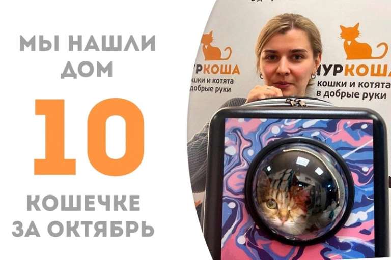 Туи отправляется домой!