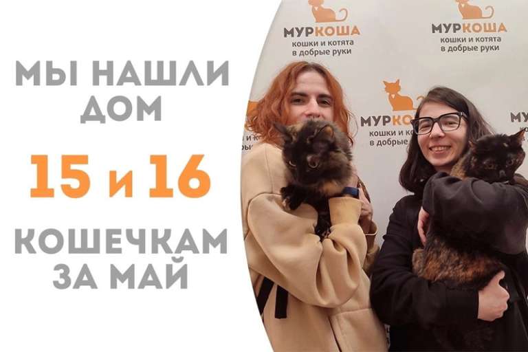 Неразлучные Умпа и Лумпа уезжают в семью!