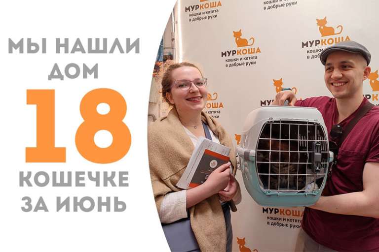 Устиша прощается с нами, отправляясь домой!