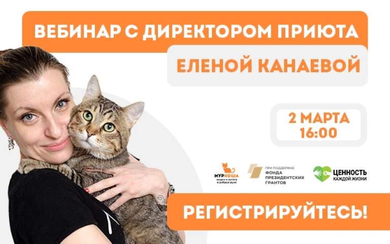 Регистрация на вебинар "Устойчивая работа приюта для животных"