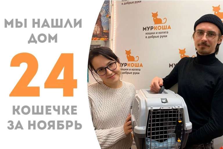 Нежная Ясика стала домашней любимицей!