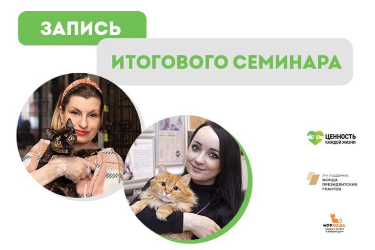 Запись итогового семинара