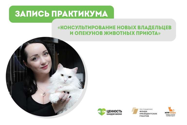 Запись практикума "Консультирование новых владельцев и опекунов животных приюта"