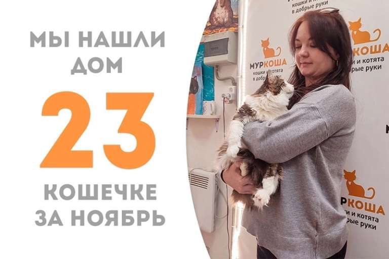 Роскошная Зайкуша обрела долгожданную семью!