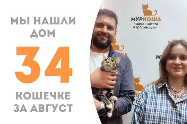 Спустя три месяца Альче начинает новую жизнь!