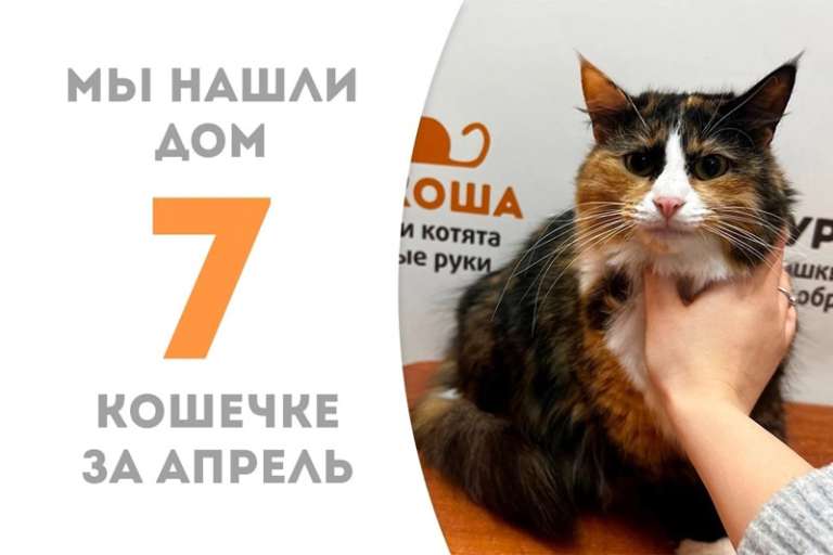 Пышнейшая Альха уезжает к Вафле!
