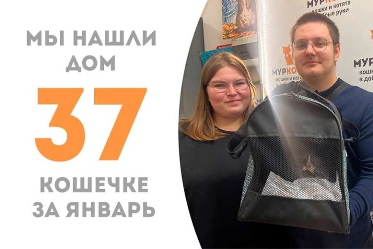 Прекрасная Амалька повстречала своих людей!