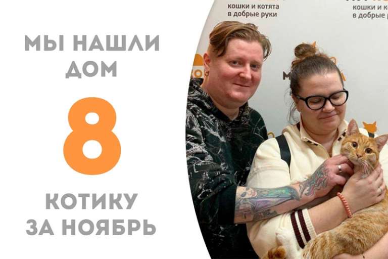 Замурчательный Амаретто нашел дом!