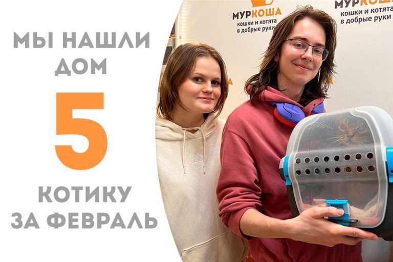 Его Великолепие Анданте отправился царствовать на домашних просторах!