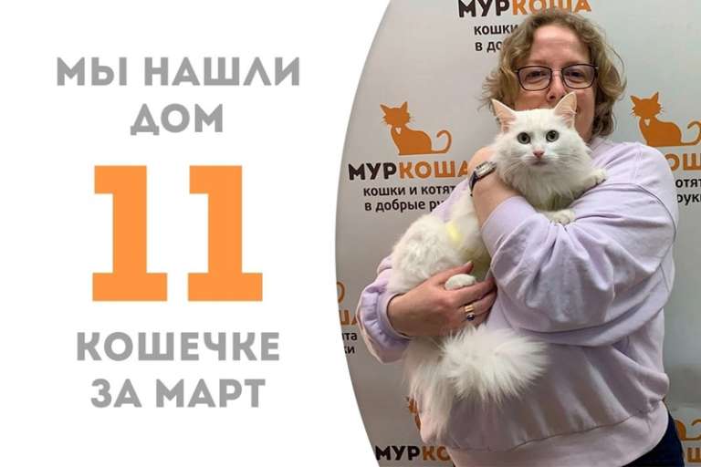 Прошло всего две недели, а белоснежная Антуанетта уже отправляется в домашнее королевство!
