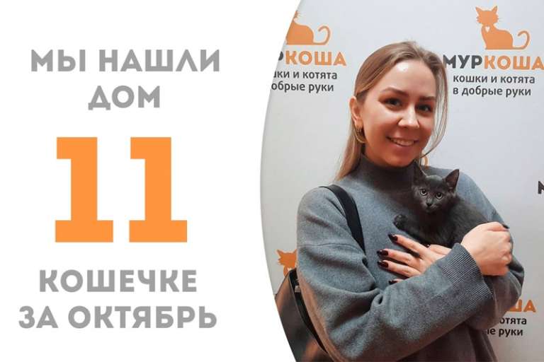 Крошка Бибика стала домашней за месяц с хвостиком!