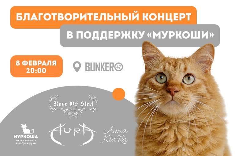 Благотворительный концерт в поддержку "Муркоши"