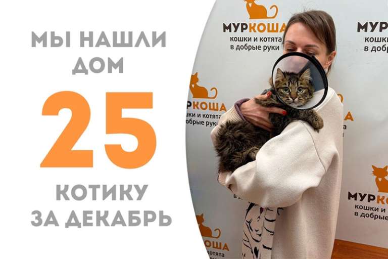 Всего два месяца потребовалось Богдаше, чтобы встретить свою семью!
