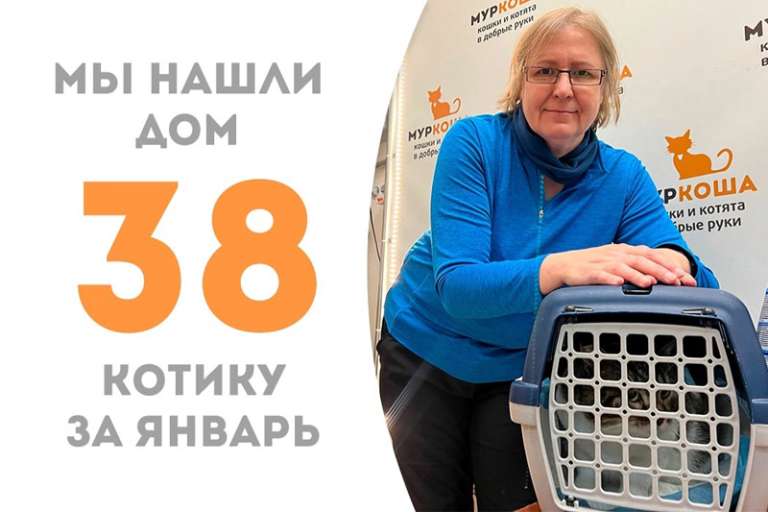 Бомбический Бомбур отправился домой!