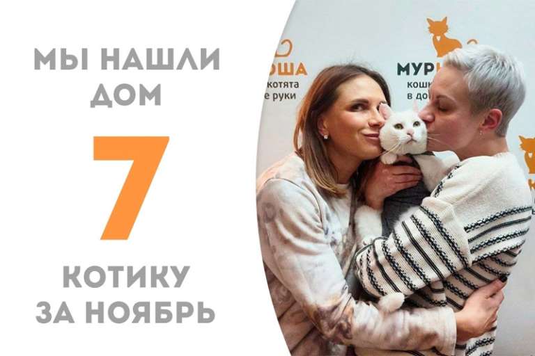 Вальяжный Бри теперь домашний!