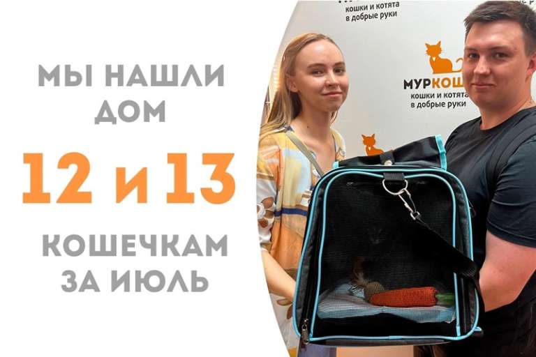 Меньше чем за месяц шустрые крошки-кошки Чаинка и Морзянка вместе обретают один домашний очаг на двоих!
