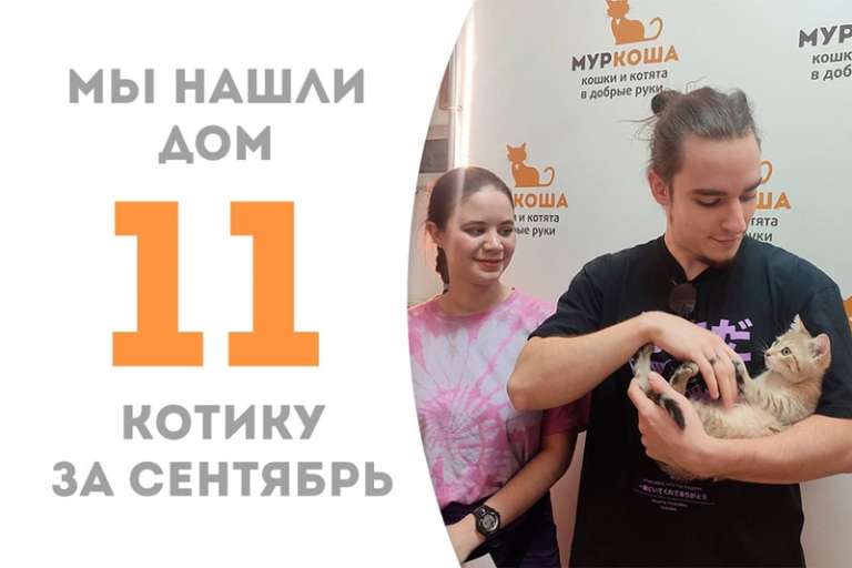 Меньше чем за 2 месяца милый Чоко стал нашим счастливчиком!