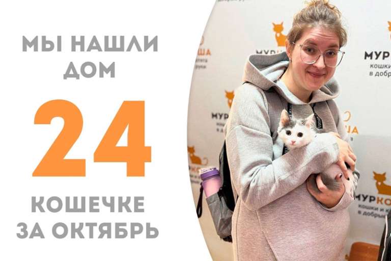 Утонченная Денебола обрела дом!
