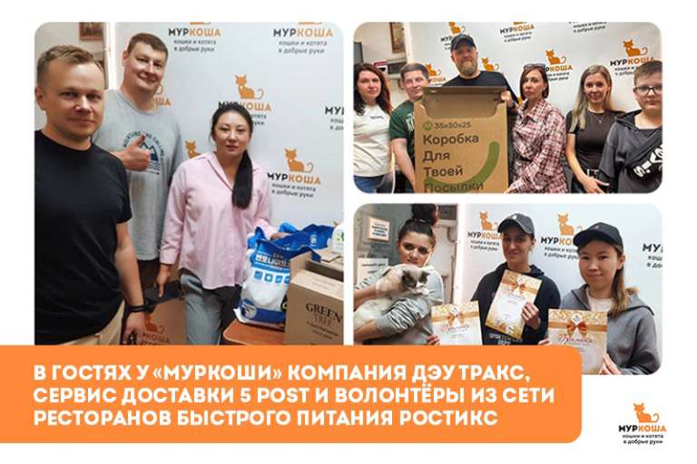 Гости "Муркоши". "Дэу Тракс", "5 post" и "Ростикс"