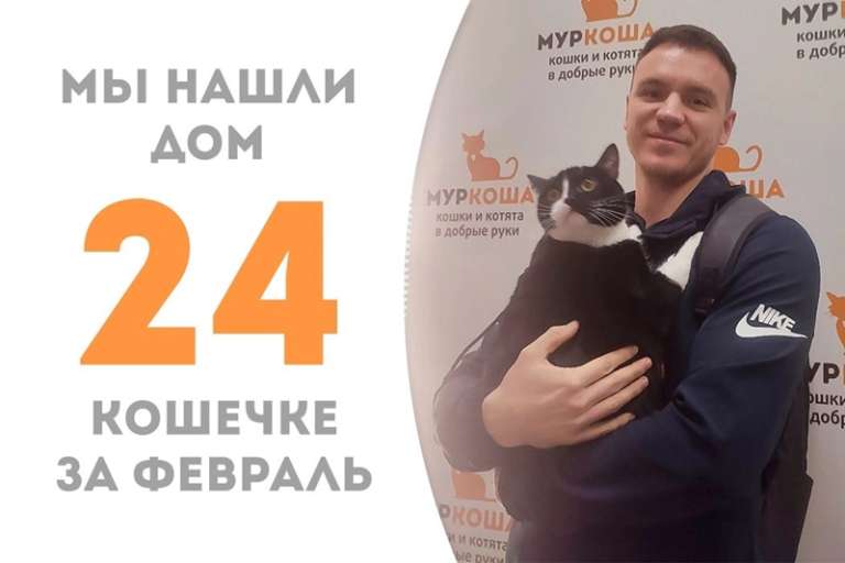 Кошечка Доминошечка встречает своего человека!