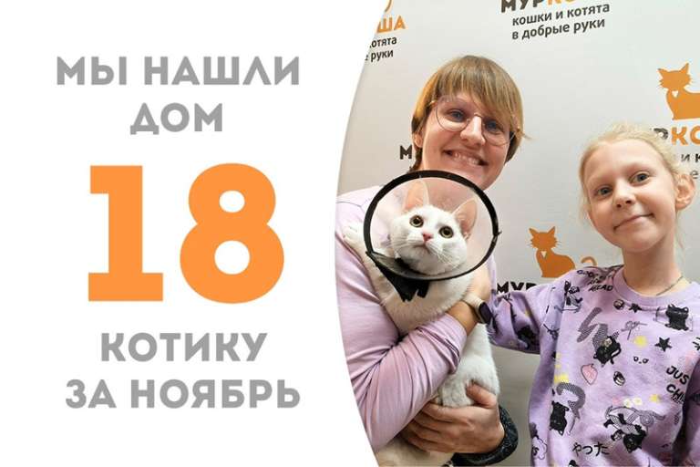 Белоснежный Донатик обрел семью всего за 2 месяца!