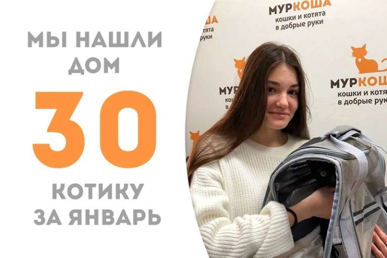 Малышок Дубай пробыл у нас всего 11 дней и уже успел встретить свою хозяйку!