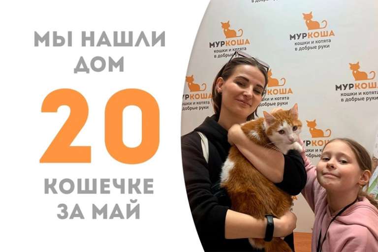 Джуна за три месяца успела стать домашней!