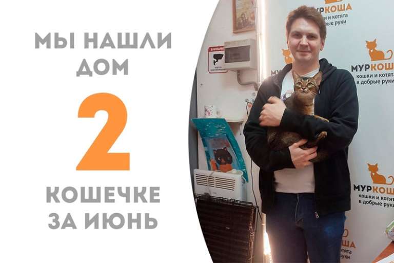 Красавица Эболи всего за месяц стала домашней!