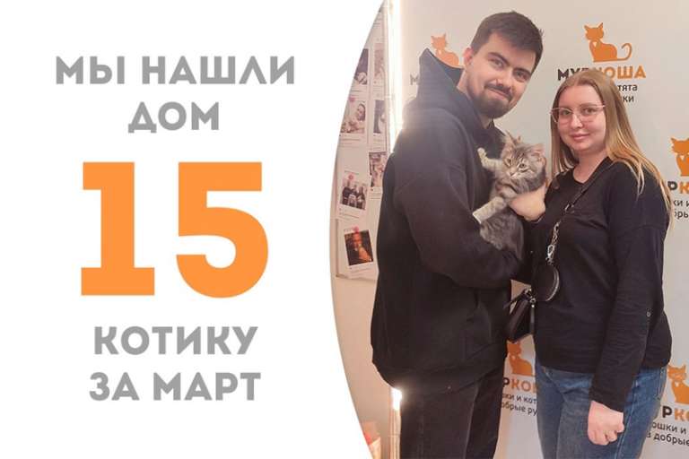 Красавчик Эдельвейс уехал расцветать домой!