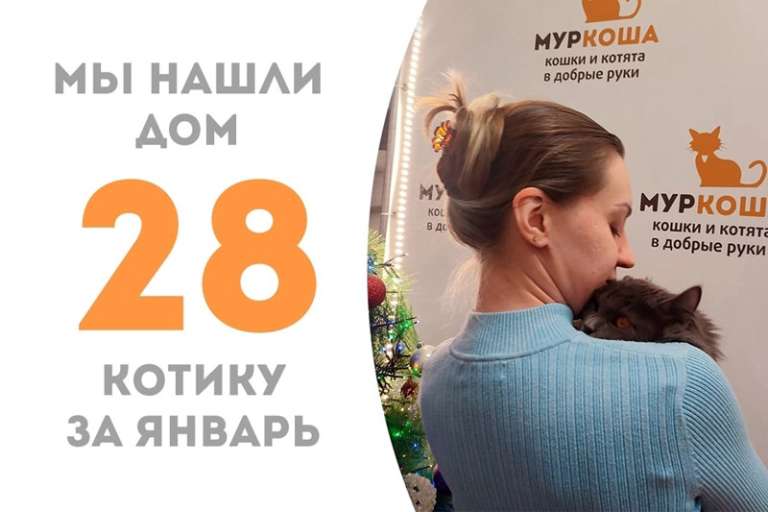 Полтора месяца потребовалось Эштону, чтобы встретить свою добрую хозяйку!