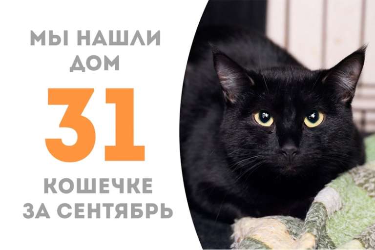 Волшебная Фэнтэзи уехала домой к Эмори!